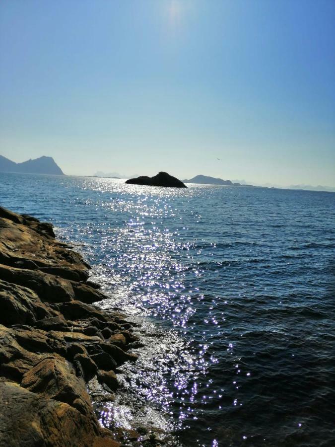 Holiday House In Lofoten Kabelvag Bagian luar foto