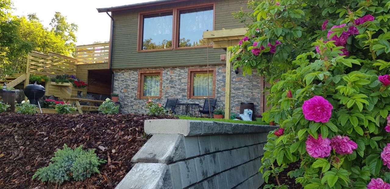 Holiday House In Lofoten Kabelvag Bagian luar foto